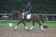 Billede