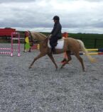 Billede
