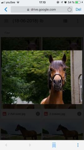 Billede