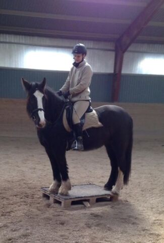 Billede