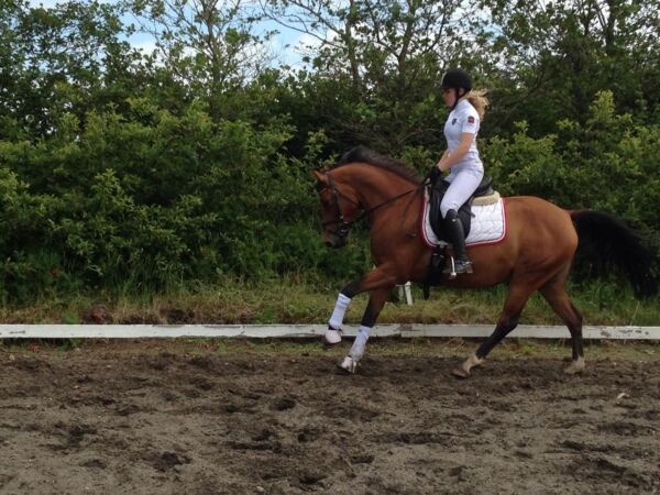 Billede