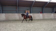 Billede