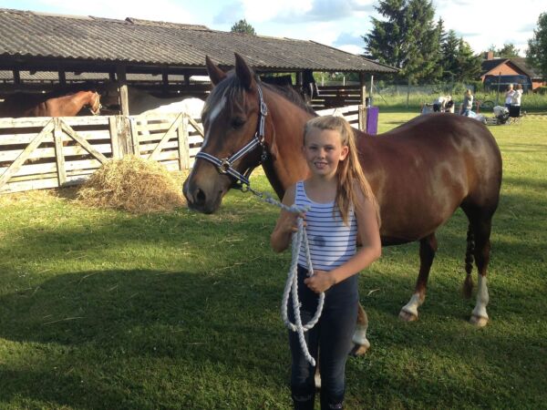 Billede
