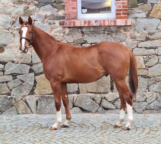 Billede