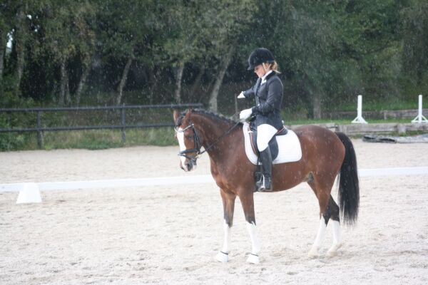 Billede