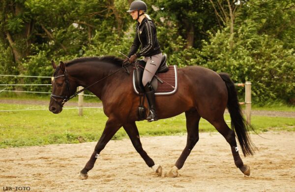 Billede
