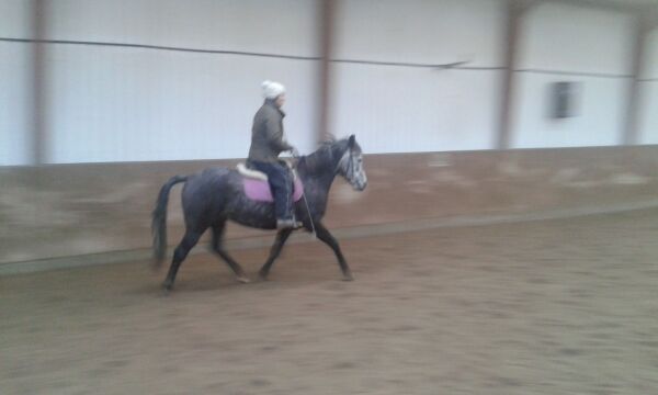 Billede