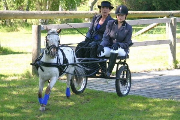Billede