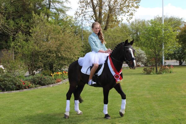 Billede