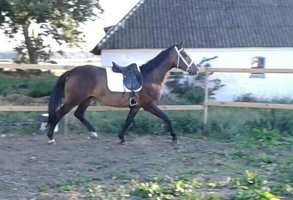 Billede