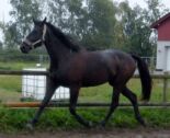 Billede