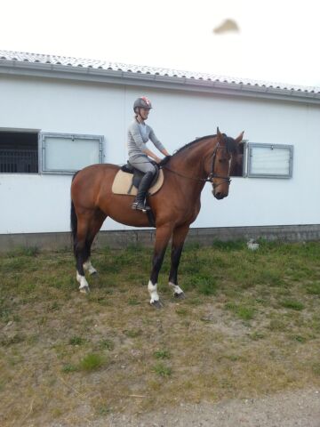 Billede
