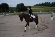 Billede