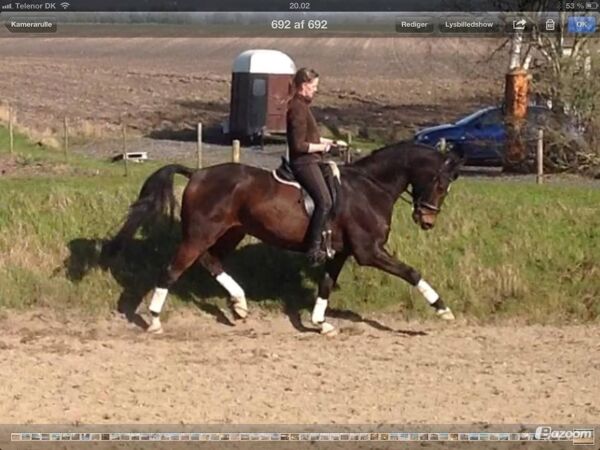 Billede