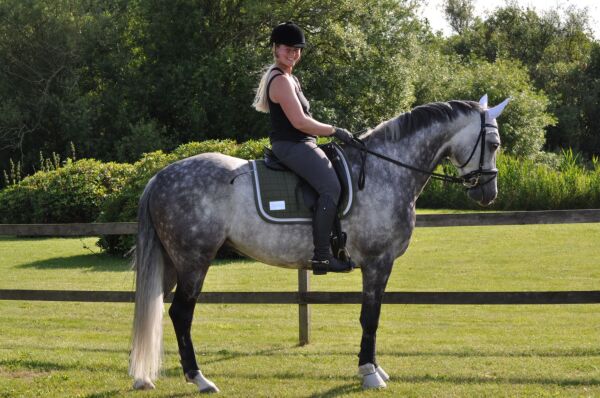 Billede