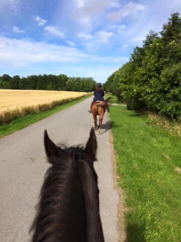 Billede
