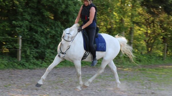 Billede