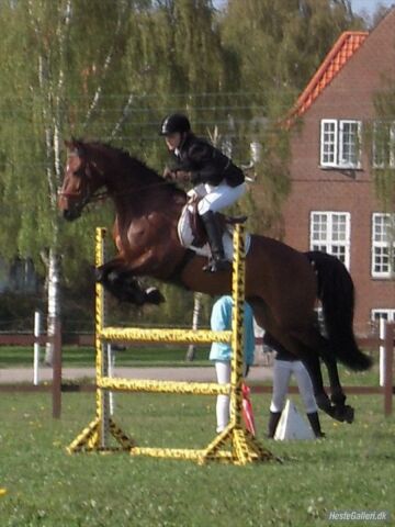 Billede