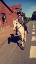Billede