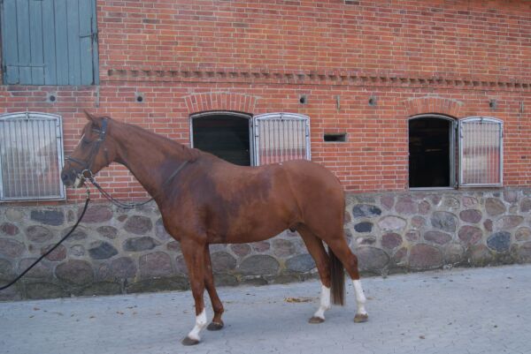 Billede