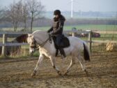 Billede