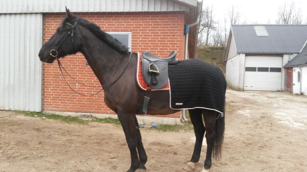 Billede