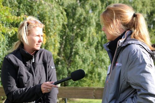 Billede
