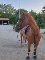 Billede