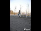 Billede