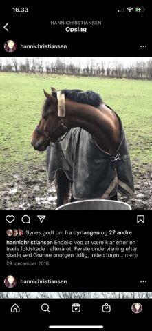 Billede