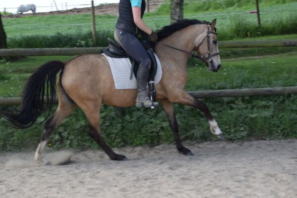 Billede