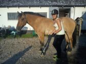 Billede