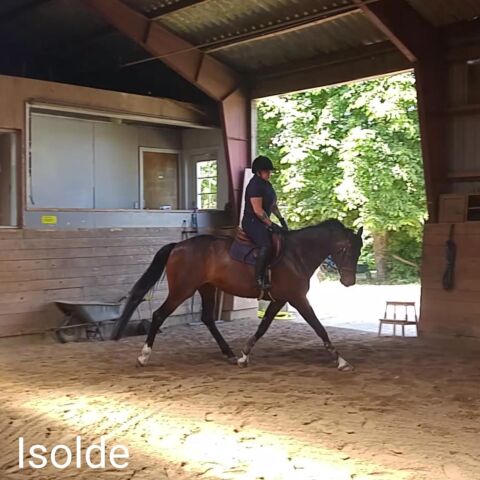 Billede