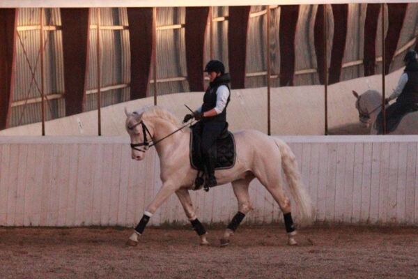 Billede
