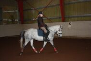 Billede