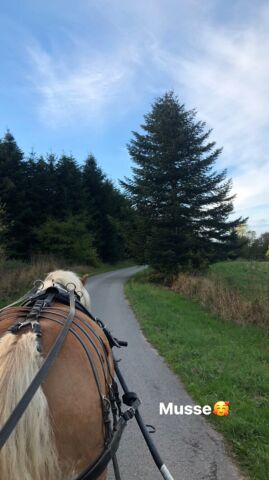 Billede
