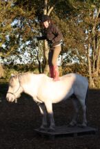 Billede