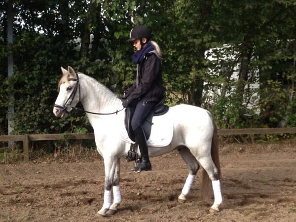 Billede