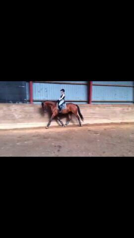 Billede