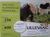 Billede