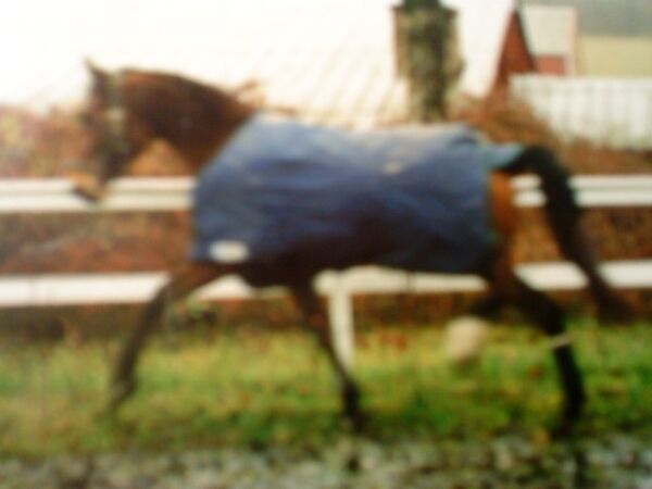 Billede