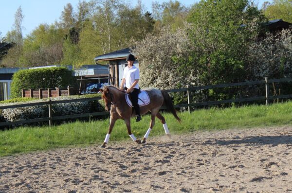 Billede