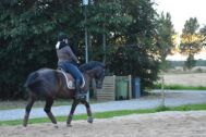 Billede