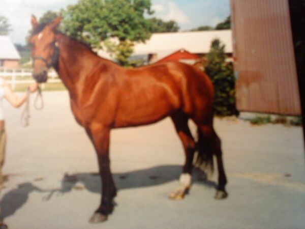 Billede