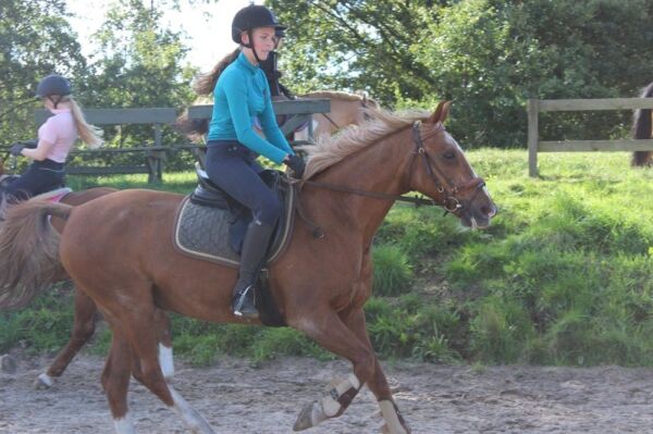 Billede