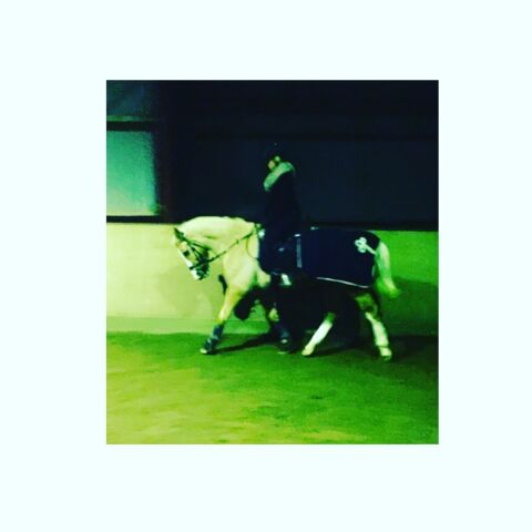 Billede