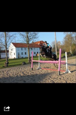 Billede