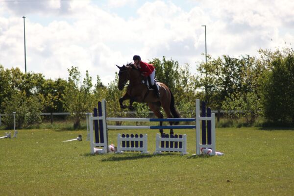 Billede