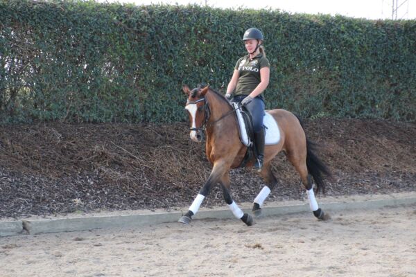 Billede