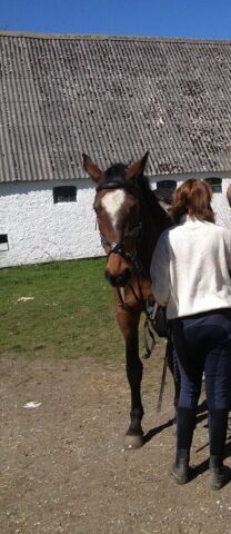 Billede